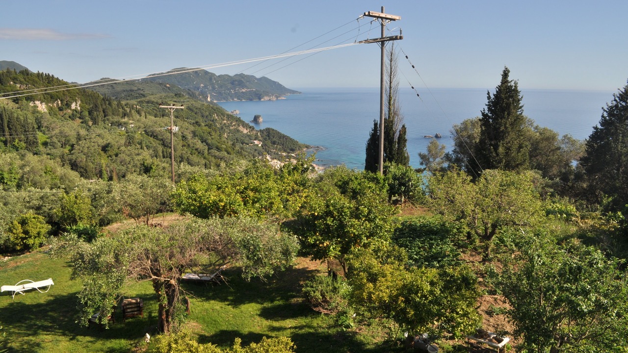 Photo of Outdoor in Parelia