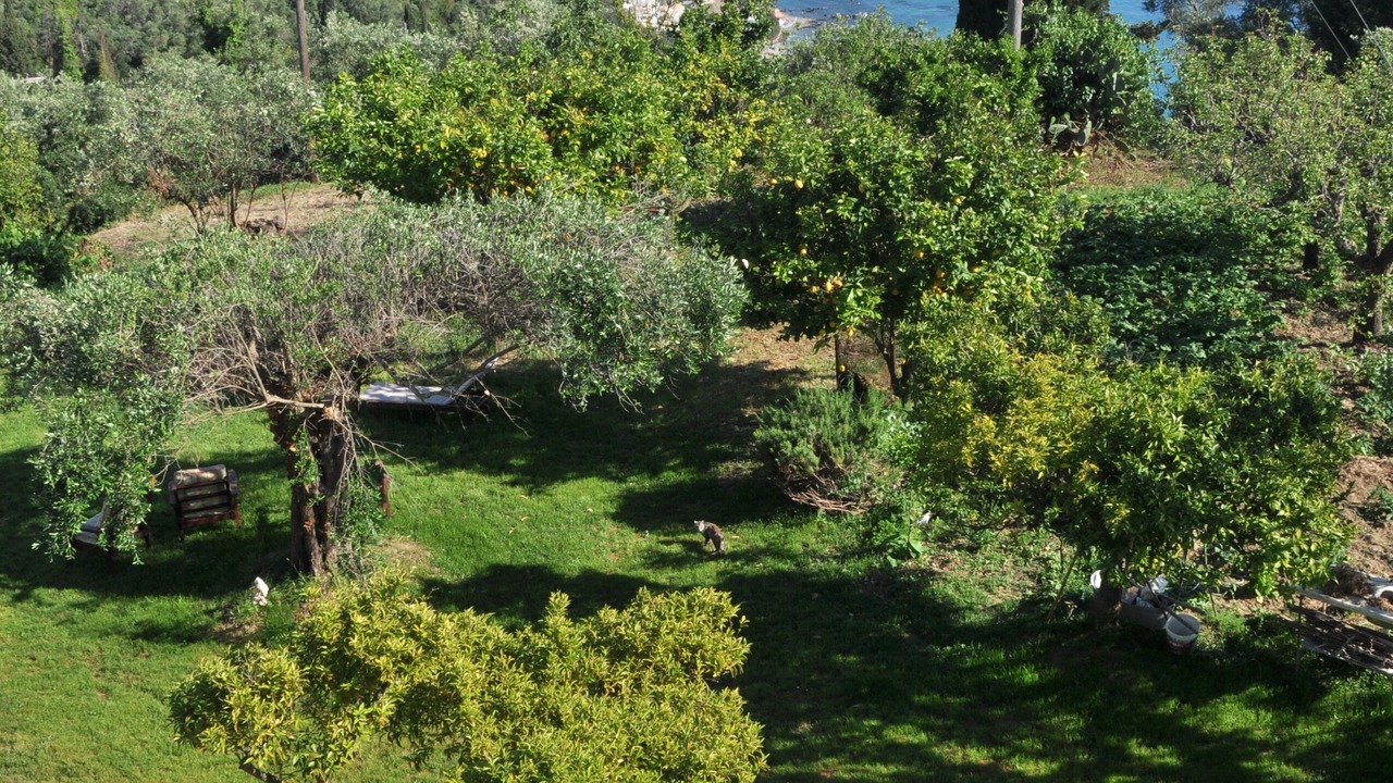 Photo of Outdoor in Parelia