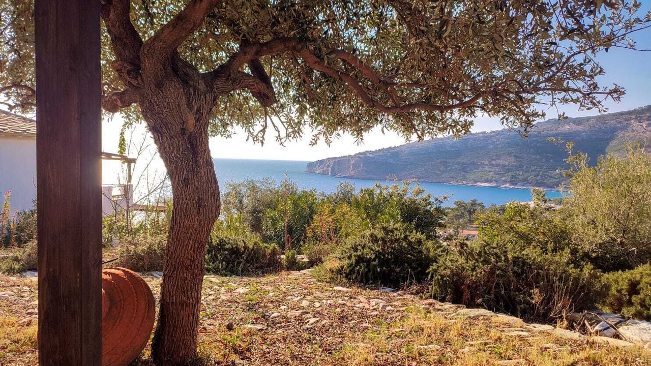 Photo of Outdoor in Thasos