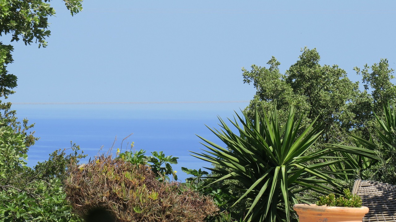 Photo of Outdoor in Atsipópoulon