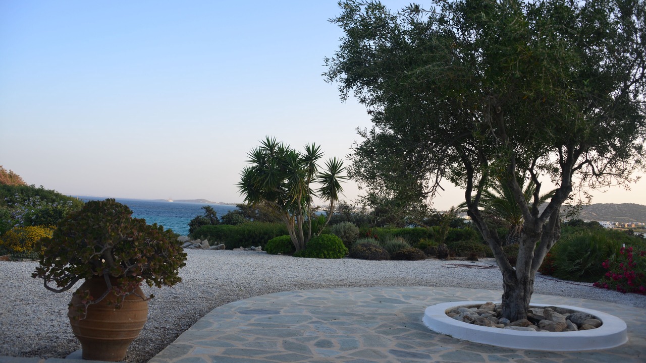 Photo of Outdoor in Maragas