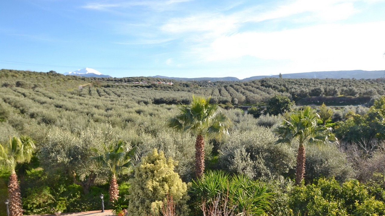 Photo of Others in Viranepiskopi