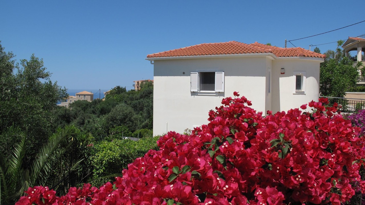 Photo of Outdoor in Agios Eleftherios
