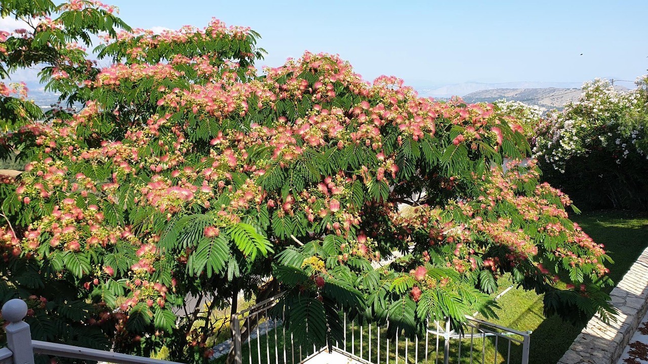 Photo of Outdoor in Monopari