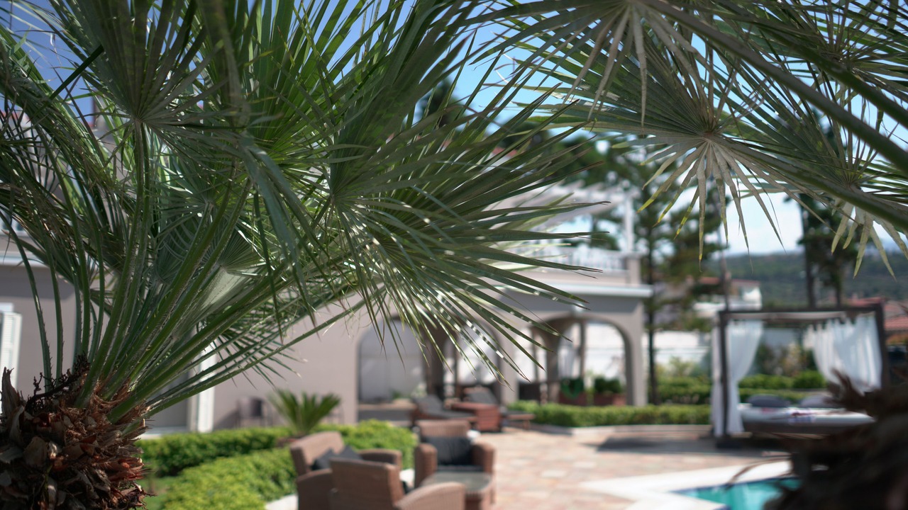 Photo of Patio Balcony in Egira