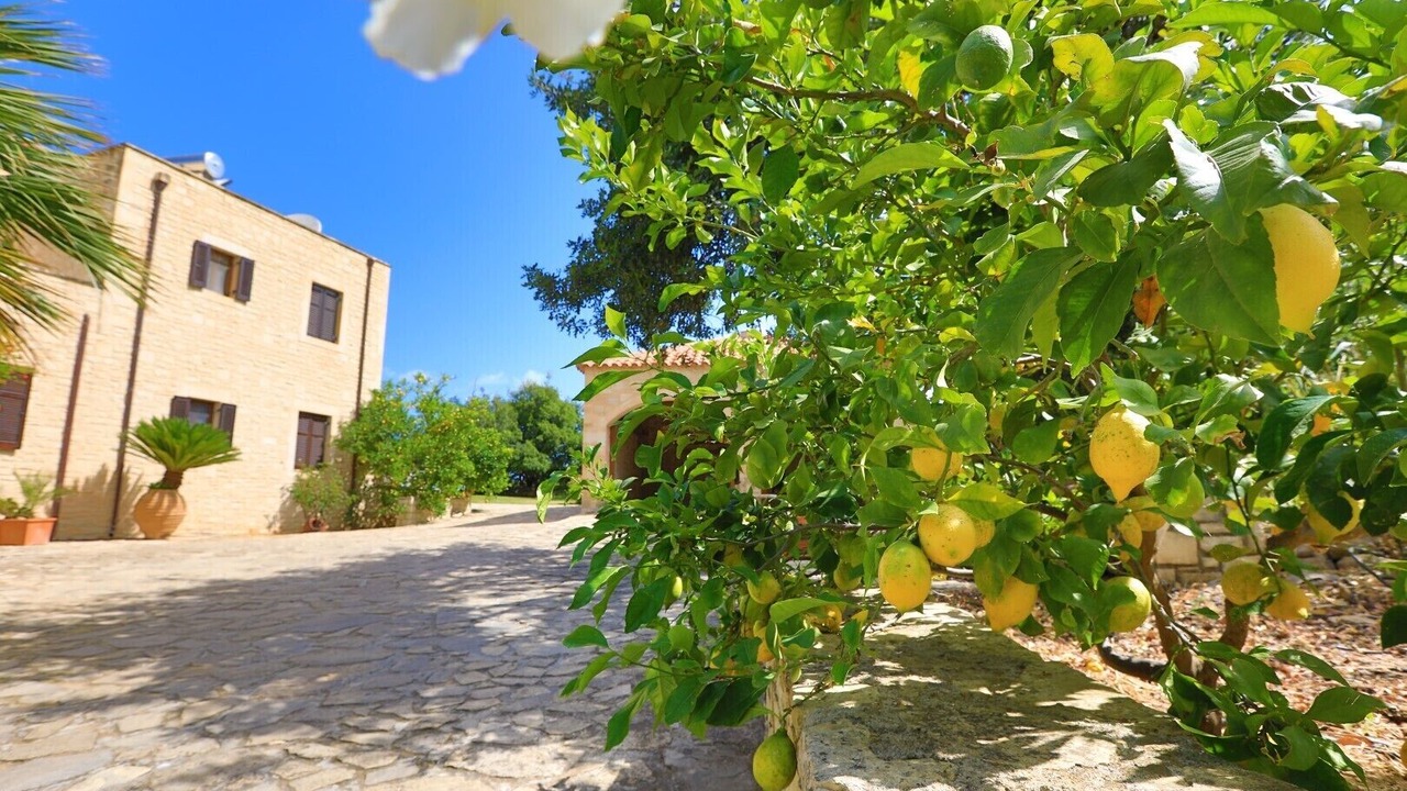 Photo of Outdoor in Atsipópoulon