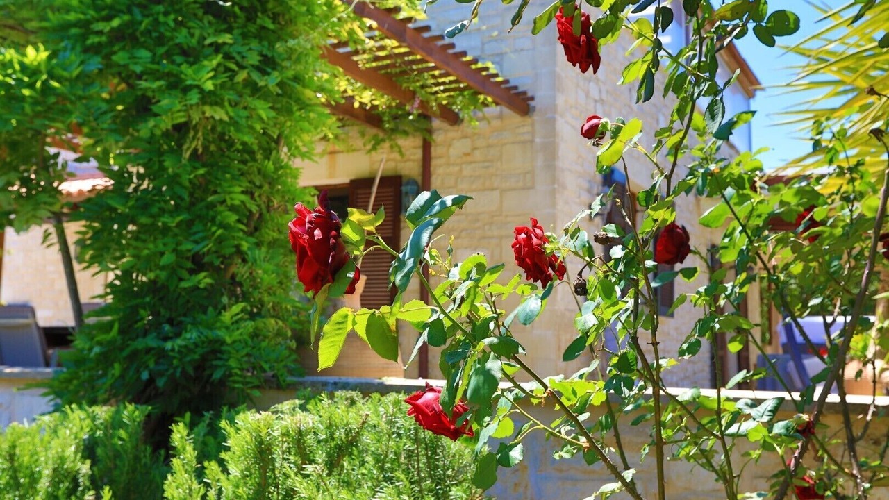 Photo of Outdoor in Atsipópoulon