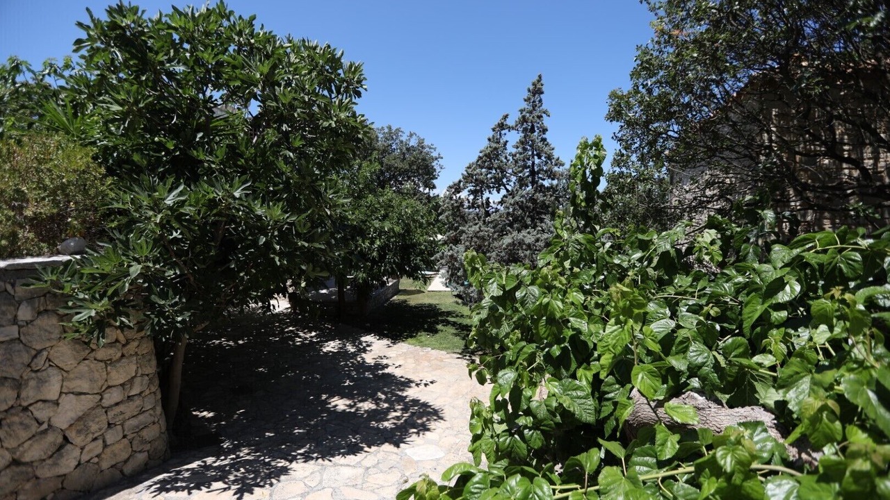Photo of Outdoor in Atsipópoulon