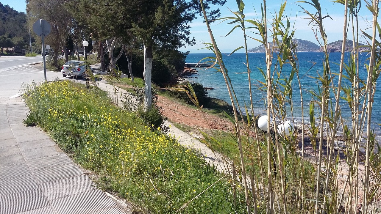 Photo of Others in Palaia Fokaia