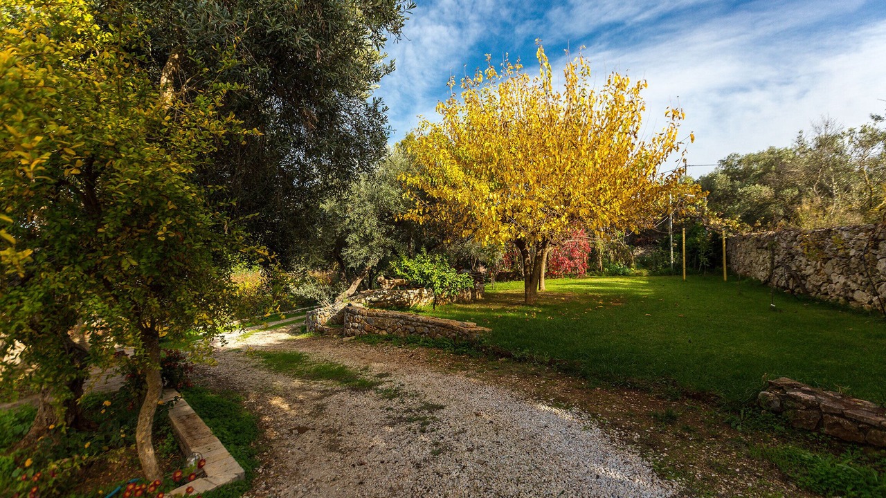 Photo of Outdoor in Chania Town