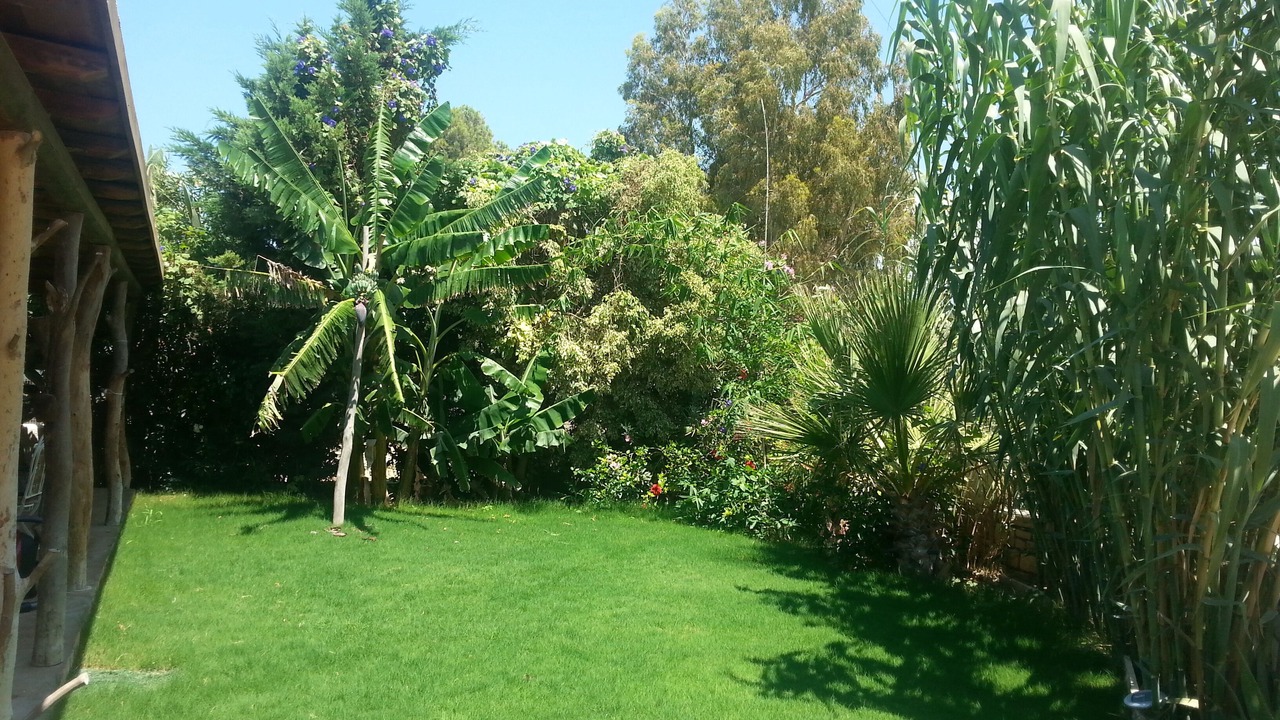 Photo of Outdoor in Pitsidia
