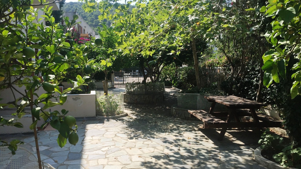 Photo of Outdoor in Poros
