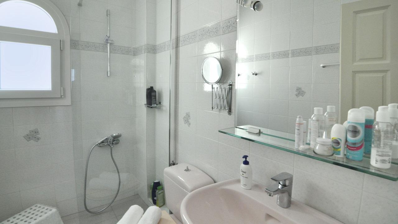 Photo of Bathroom in Skripero