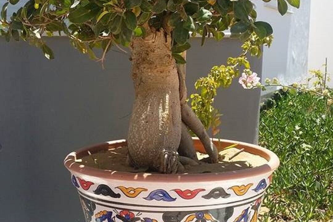 Photo of Outdoor in Hammam Al Agzaz