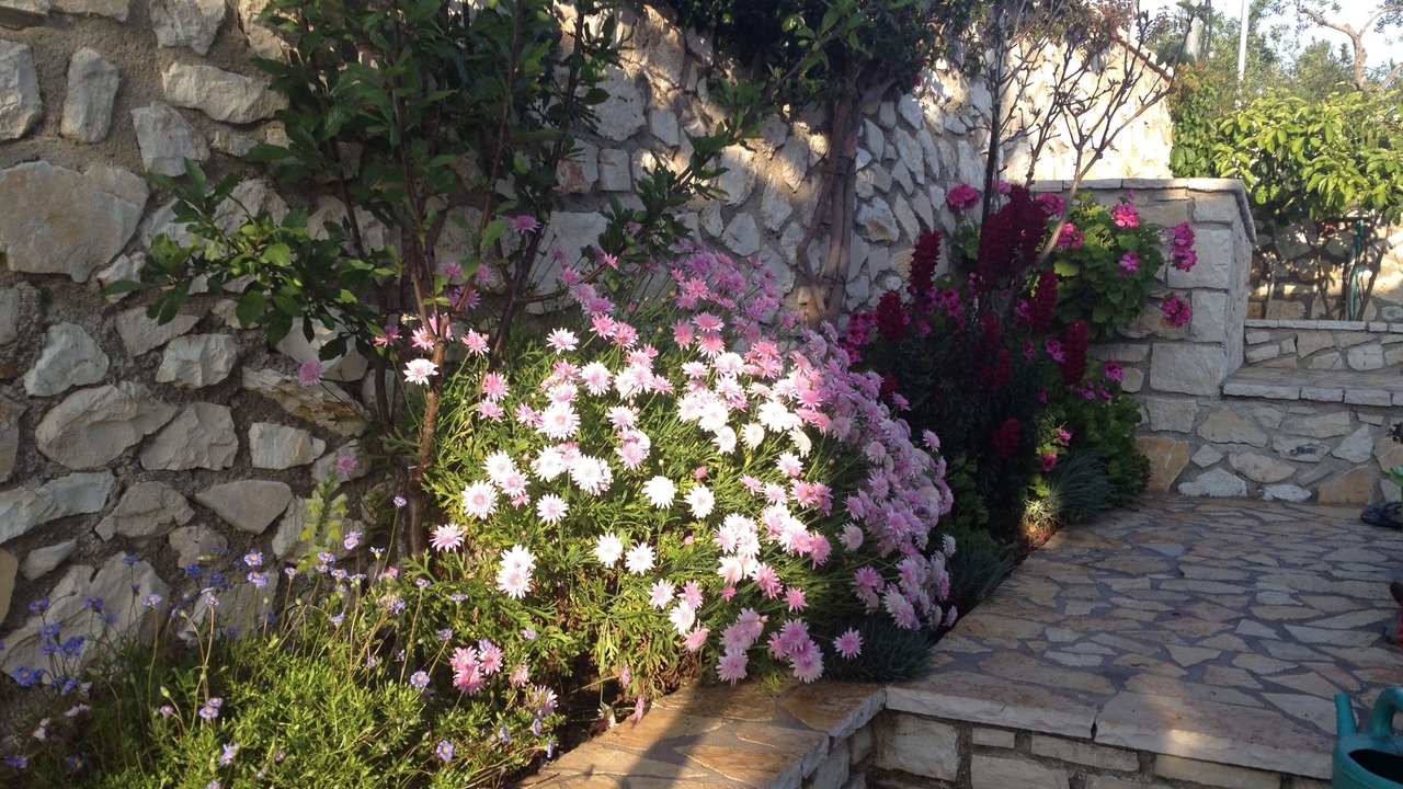 Photo of Outdoor in Vlachopoulatika