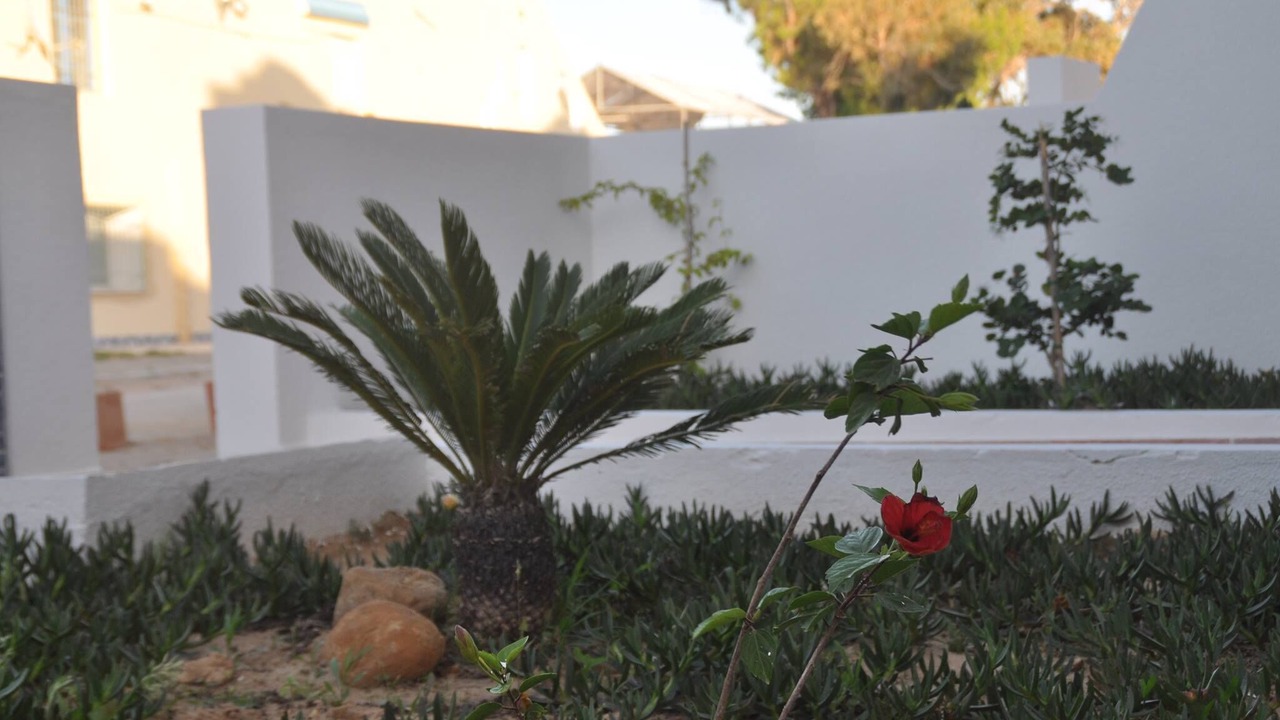 Photo of Outdoor in Hammam Al Agzaz