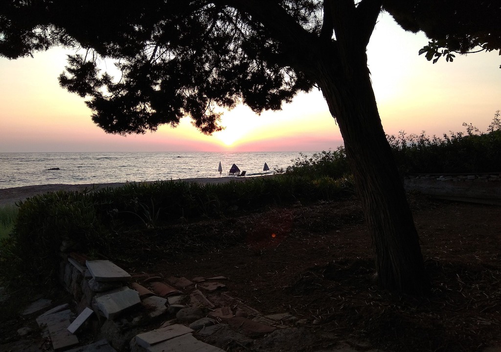 Photo of Others in Zalongo