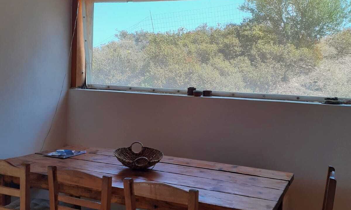 Photo of Others in Leros