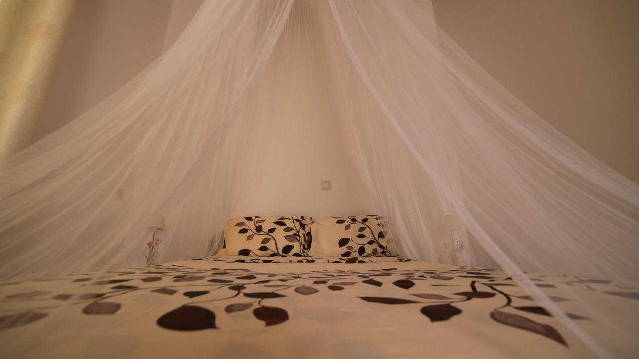 Photo of Bedroom in Pitsidia