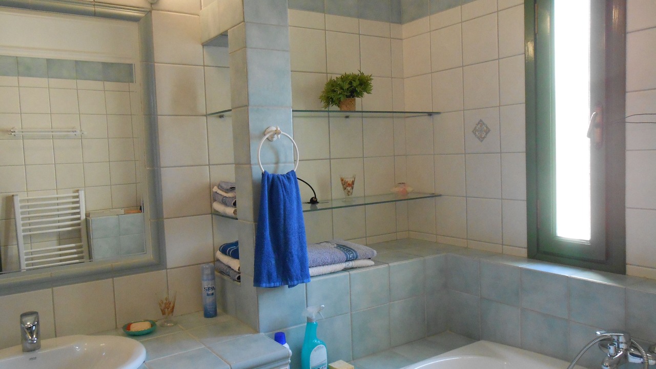 Photo of Bathroom in Fournoi