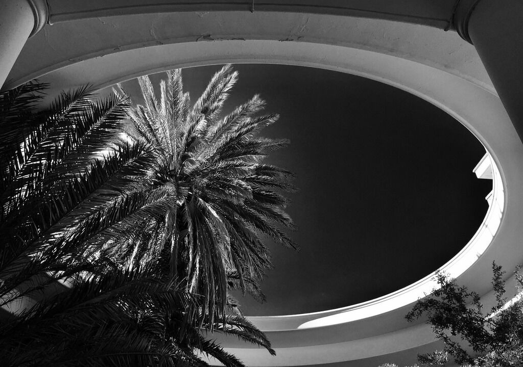 Photo of Others in Leros