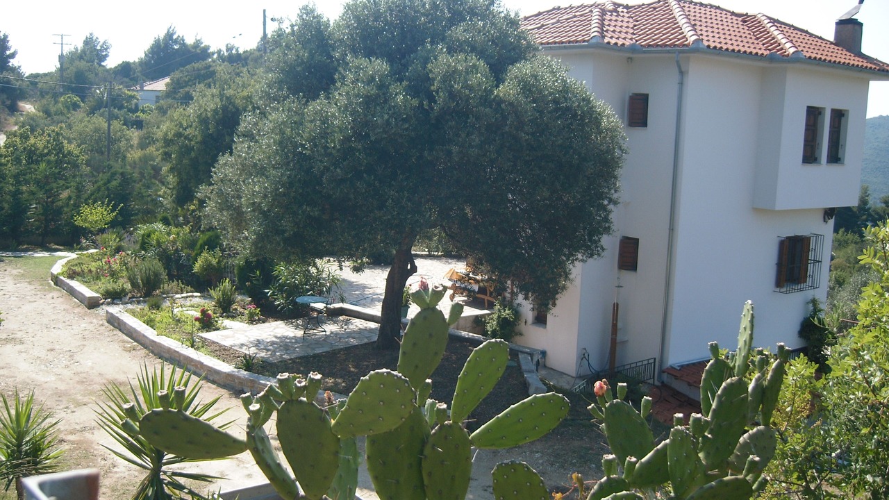 Photo of Outdoor in Kato Vrontou