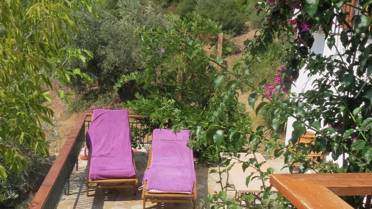 Photo of Outdoor in Kato Vrontou