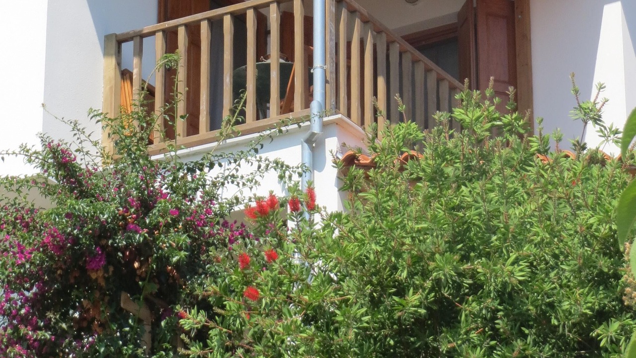 Photo of Outdoor in Kato Vrontou