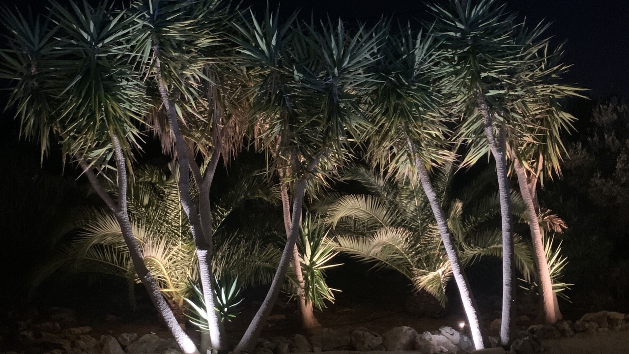 Photo of Outdoor in Kampia
