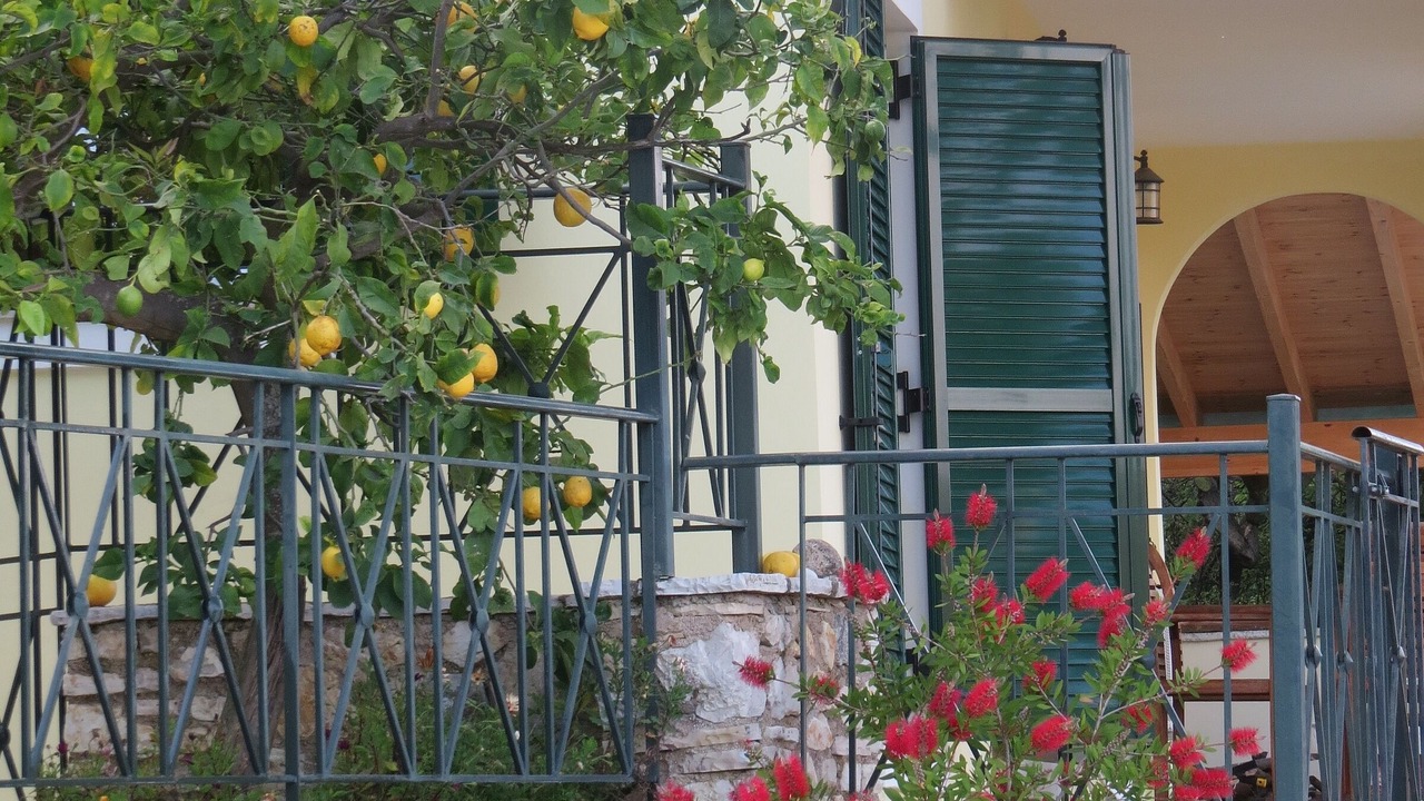 Photo of Others in Kentroma