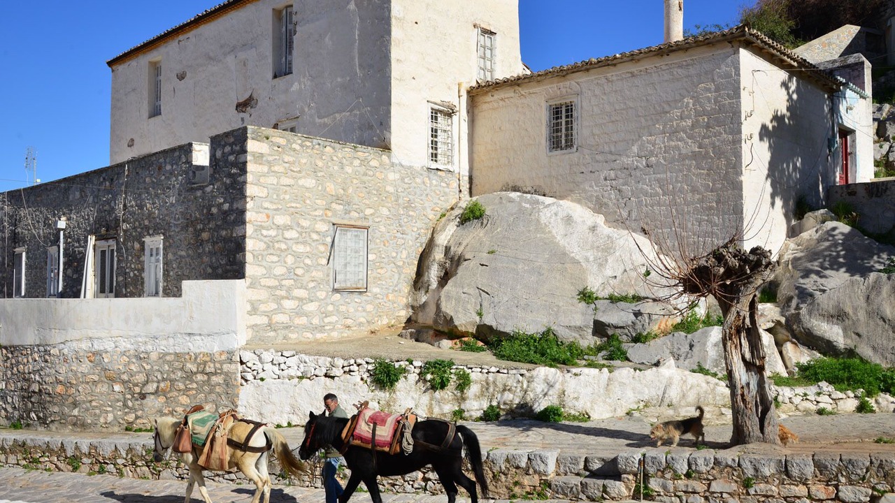 Photo of Outdoor in idhra