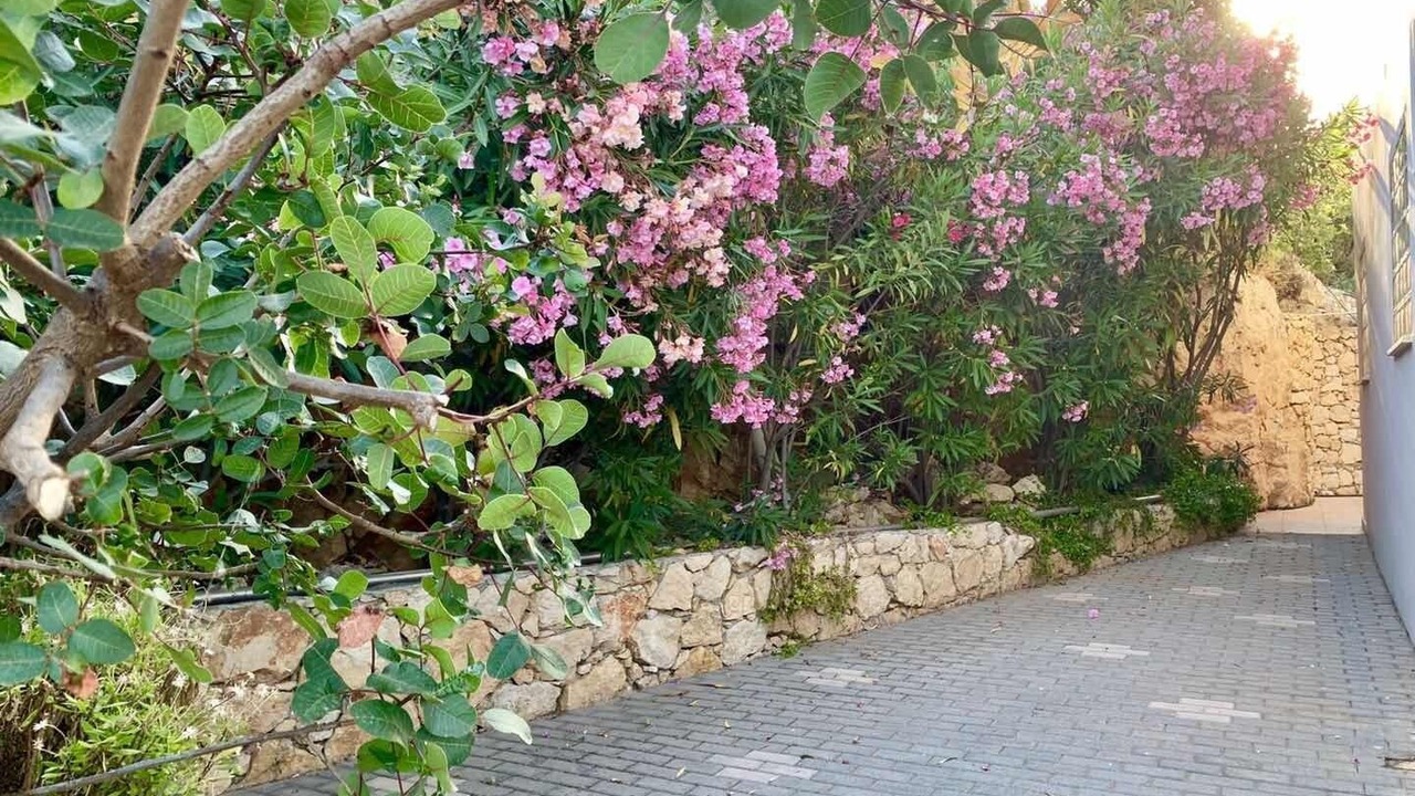 Photo of Outdoor in Apokoronas