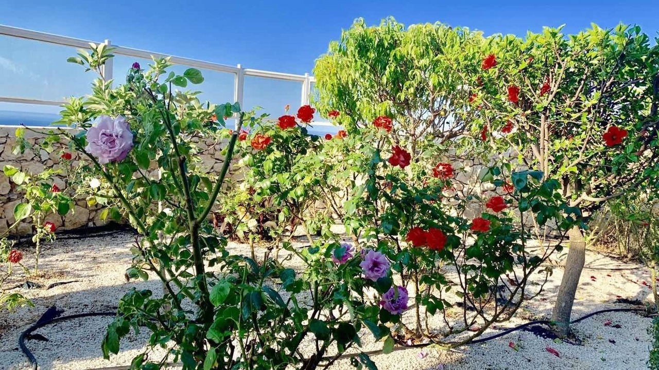 Photo of Outdoor in Apokoronas