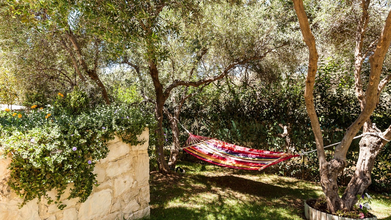 Photo of Outdoor in Chania