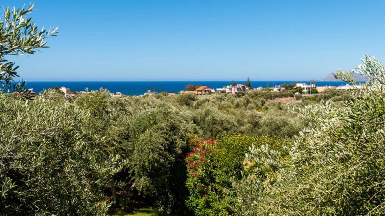 Photo of Outdoor in Chania