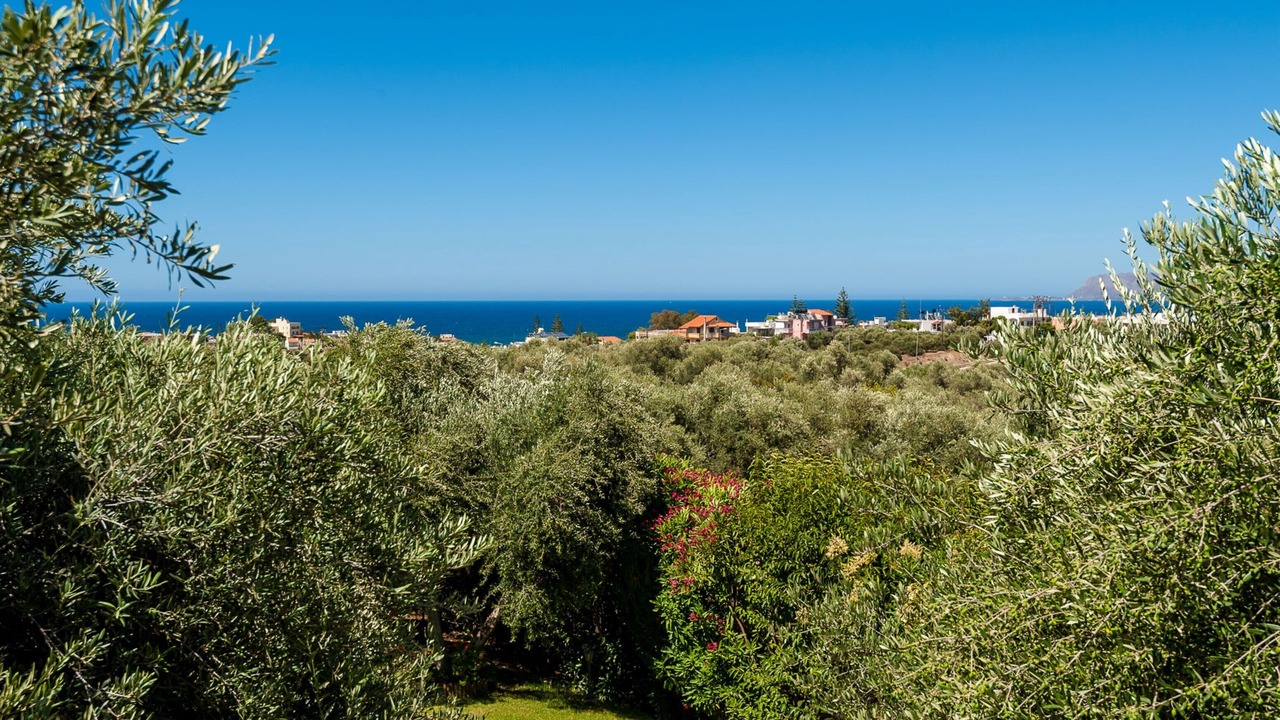 Photo of Others in Chania