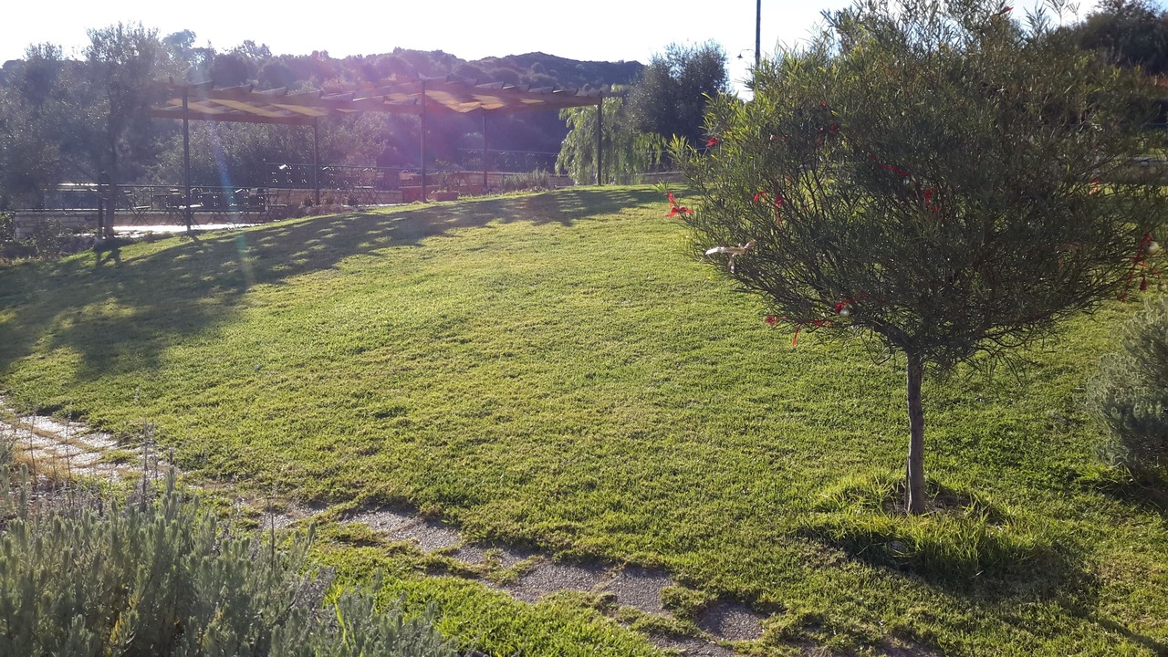 Photo of Outdoor in Platanitis