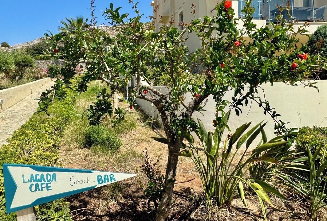 Photo of Outdoor in Makry Gialos