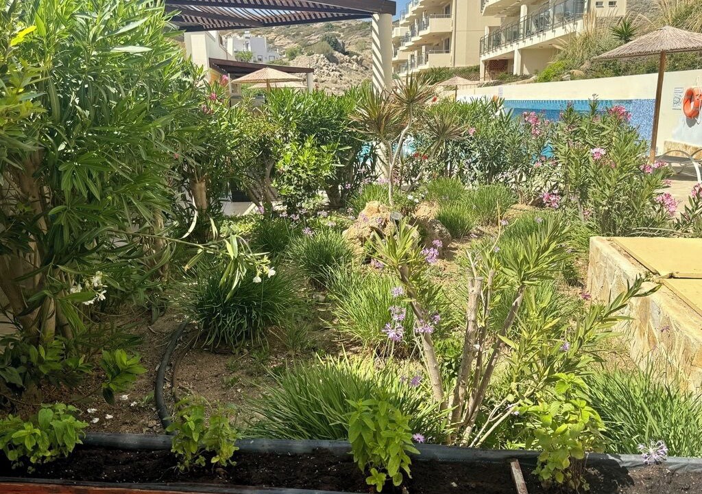 Photo of Outdoor in Makry Gialos