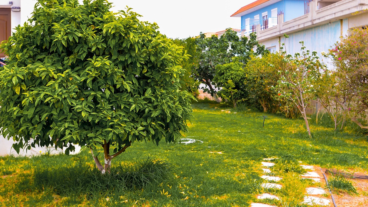 Photo of Outdoor in Ialyssos