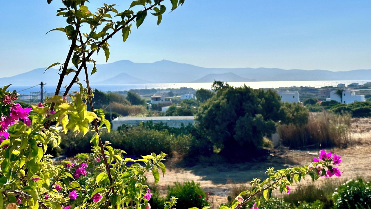 Photo of Others in Naxos
