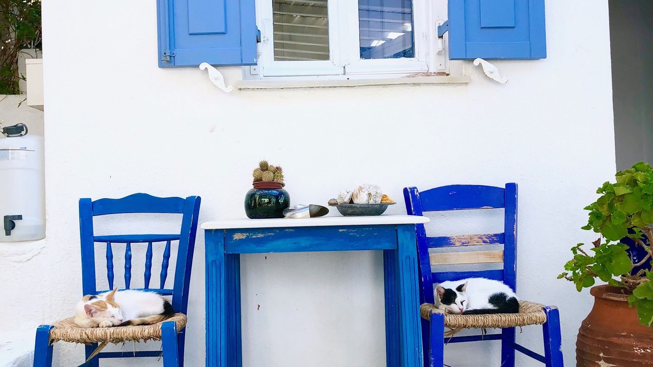 Photo of Others in Megas Gialos