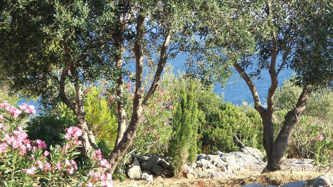 Photo of Outdoor in Mavrovouni