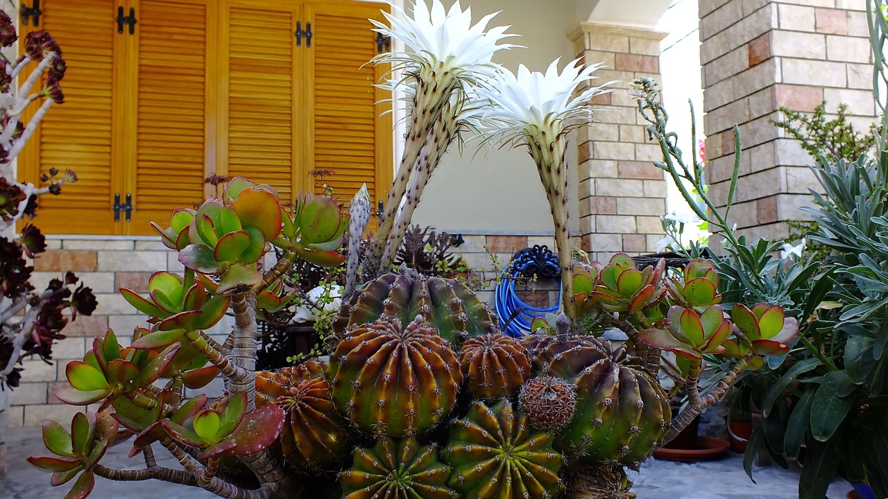 Photo of Outdoor in Kamari