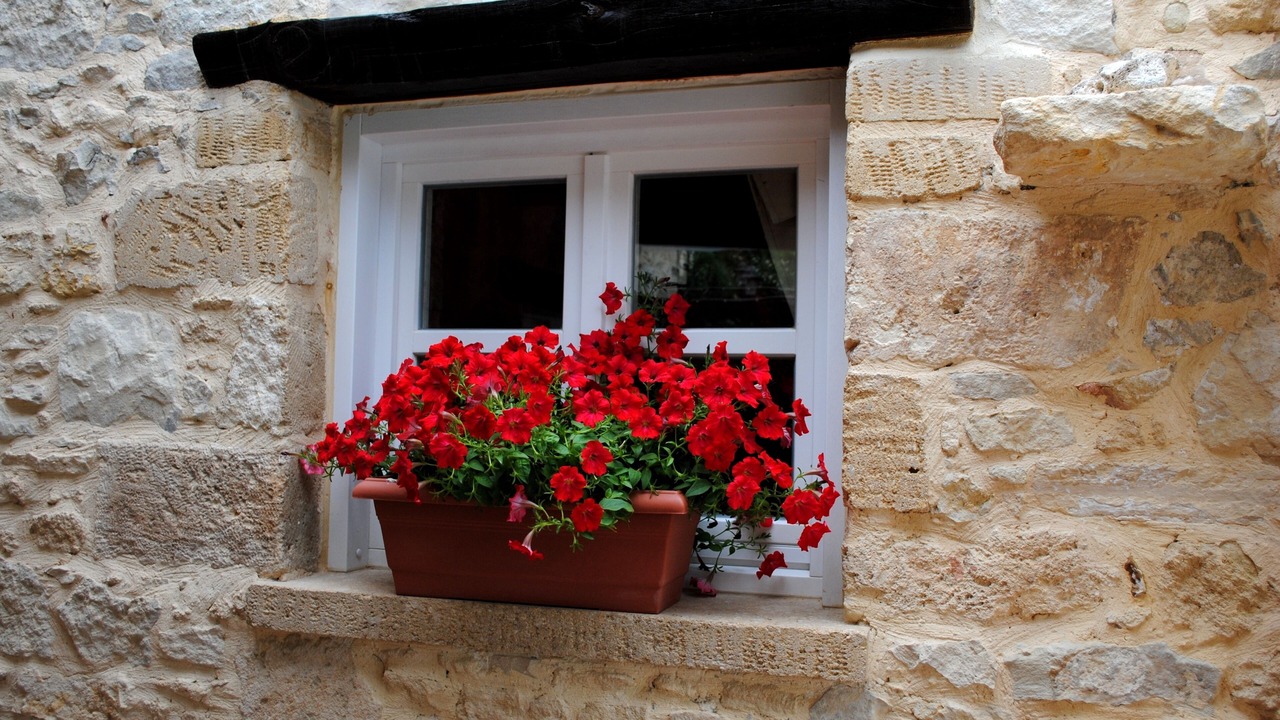 Photo of Outdoor in Platanias Town