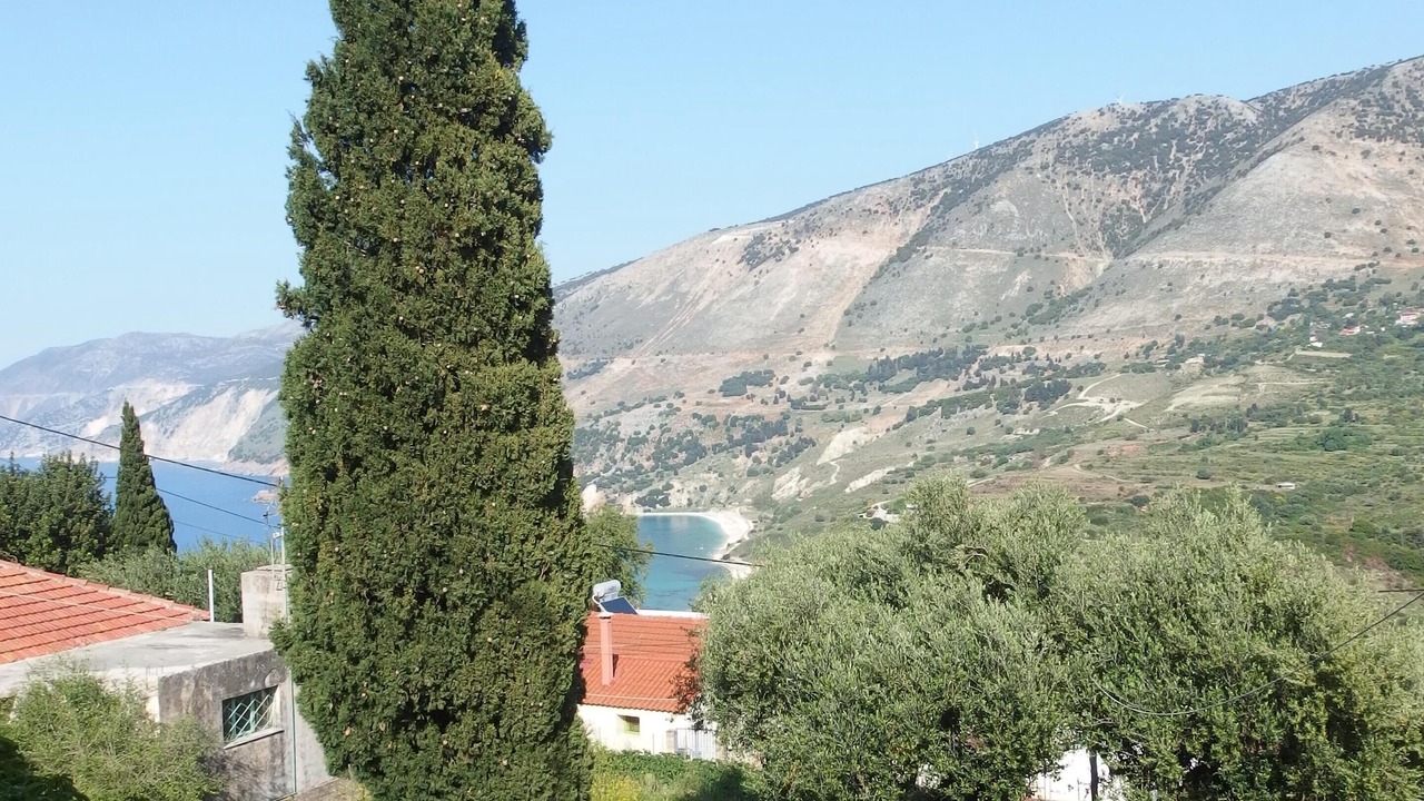 Photo of Outdoor in Zola