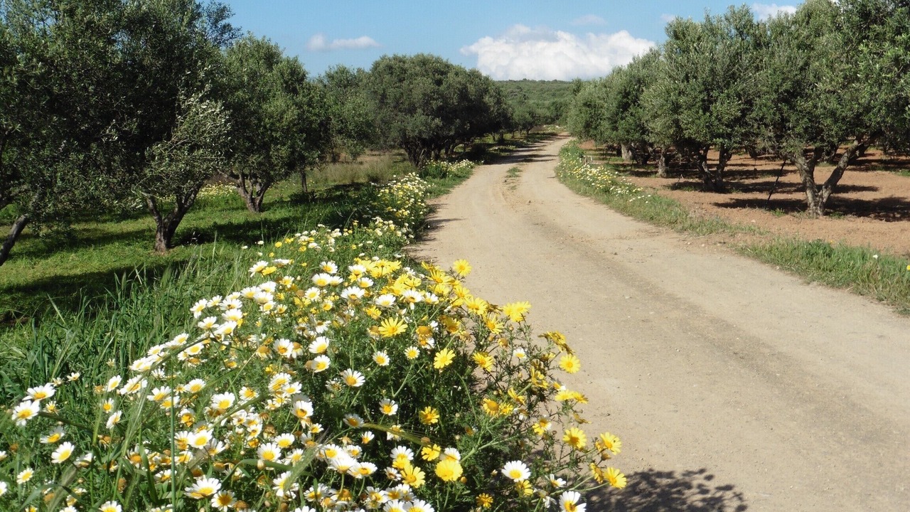 Photo of Outdoor in Sivas