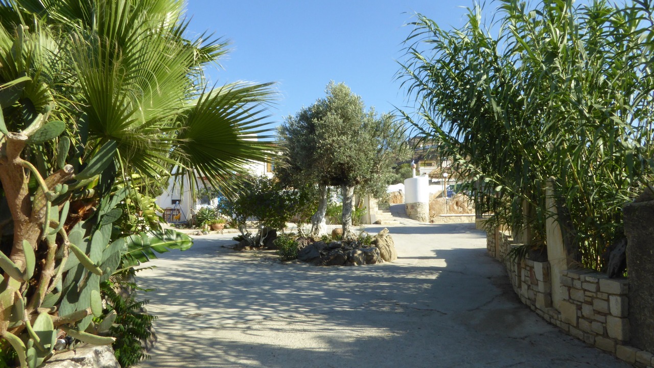 Photo of Outdoor in Sivas