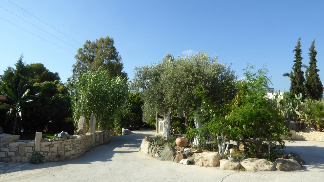 Photo of Outdoor in Sivas