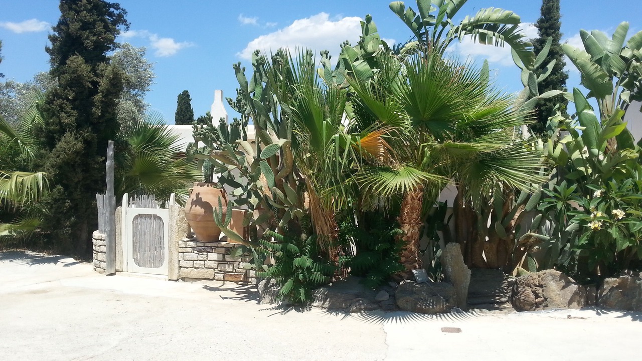 Photo of Outdoor in Sivas